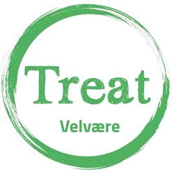 Treat Terapi, Treat Velvære, Metakognitiv terapi, Treat ung i centrum