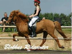 Blokhus Ridecenter