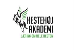 Hestehøj Ridecenter