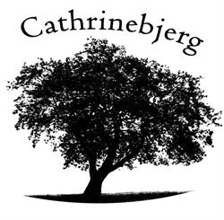 Cathrinebjerg - opstaldning af heste