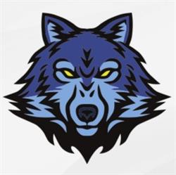 Odense Wolves Baseball Club