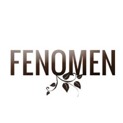 Fenomen.dk