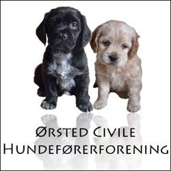 DCH Ørsted