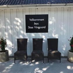 Stae Vingaard