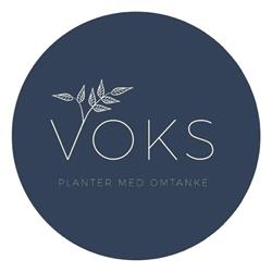 VOKS - planter med omtanke