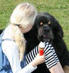 CanisVitae