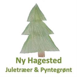 Ny Hagested juletræer & pyntegrønt