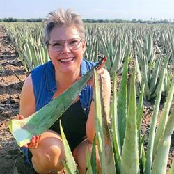 Aloe Vera Struer