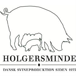 Holgersminde