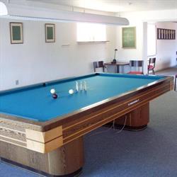 Sdr Felding Billard