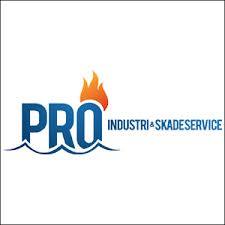 Pro Industri & Skadeservice. Sjælland