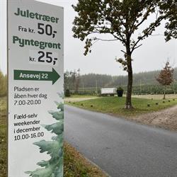 Juletræsmanden.dk v/Klaus Kaltoft