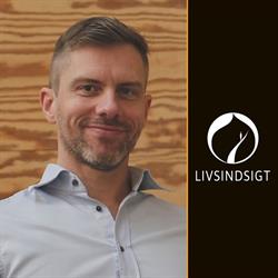 Livsindsigt