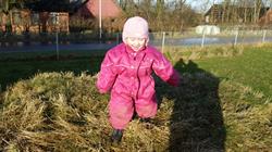 Faurskovens vildbasser Privat pasningsordning Hadsten