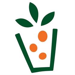 Jungle Salads Reborn