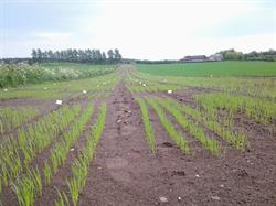 Agrologica