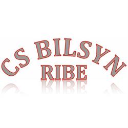 Cs Bilsyn Aps