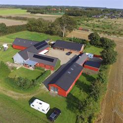 Vandel Bed & Breakfast