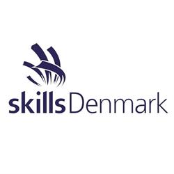 SkillsDenmark - DM i Skills