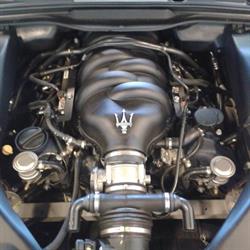 Automann Greve