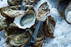 The Pescatarian