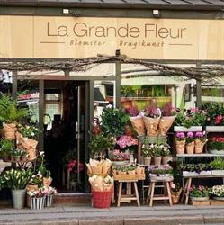 La Grande Fleur
