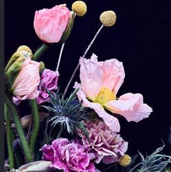 Blooming