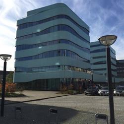 Blue Note Consultants