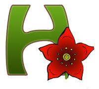 Havespecialisten