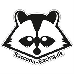 Raccoon-Racing