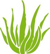 Aloe Vera Forever DK - Dansk officiel Forever Living forhandler