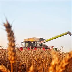 Dansk Landbrugs Management A/S