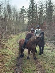 Nordisk Garn - en ulden affære