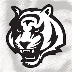 Aarhus Tigers