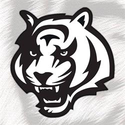 Aarhus Tigers
