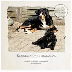 Kennel Monkeybanans