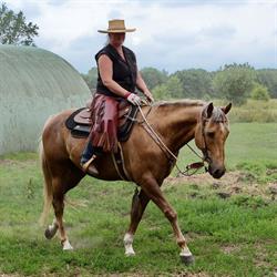 Double T Saddlery Denmark