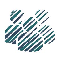 Social Proof Online