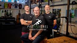 Profysionel