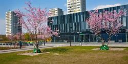 Pensionisthuset Stranden