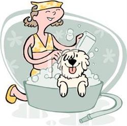 Grænselandets Hundesalon
