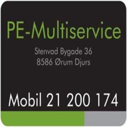 PE-Multiservice