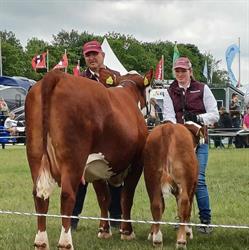 Enemærkegaards Hereford