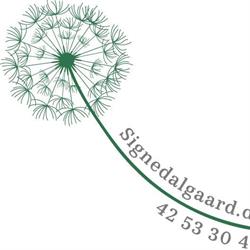 Terapi v/Signe Dalgaard