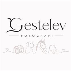 Gestelev Fotografi
