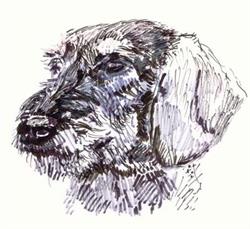 Kennel A'tempo