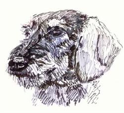 Kennel A'tempo