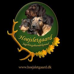 Kennel Højsletgaard