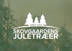 Skovgaardens Juletræer
