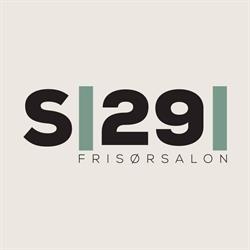 S29